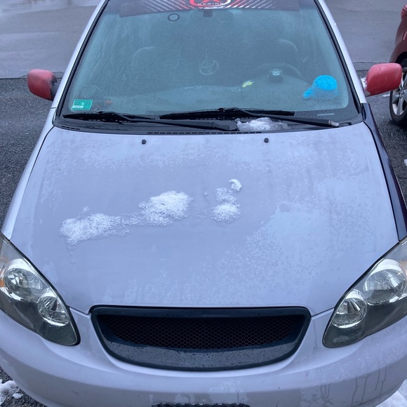 Meet your Posher, Matthew - Picture 1 of 1